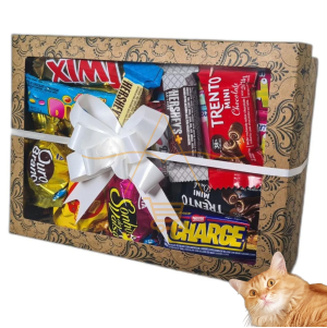 Cesta De Chocolate 22 Itens Na Caixa Presente Lembrança